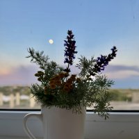 Мой утренний букет) :: Любовь Броневицкая Мой утренний букет) :: Любовь Броневицкая