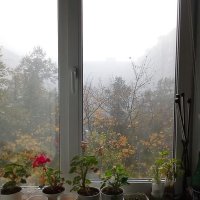 Из нашего окна...