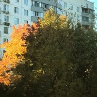 В нашем дворе в сентябре :: Дмитрий Никитин