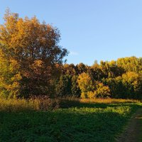 Пейзаж