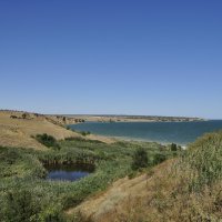 Местные виды. :: Виктор 