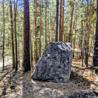 Гранитный валун... :: Георгиевич 