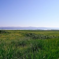 Пейзаж :: Владимир Мигонькин