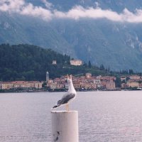Италия