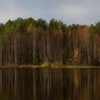 Озеро, Андозеро, осенью.Онежский округ.