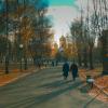 На пути :: Александрр Petrov