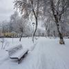 Заснеженный городской сквер :: Александр Синдерёв