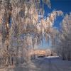 "Волшебство в ясный день у города"© :: Владимир Макаров