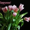 С праздником весеннего равноденствия! :: Светлана 