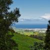 Magic Azores 50 :: Arturs Ancans