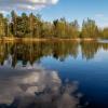 На исходе Апреля 3 :: Андрей Дворников