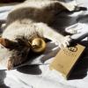 Guilty or not? :: Maria Rainer
