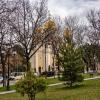 *** :: Дмитрий Лупандин