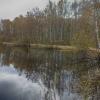 Весна в парке Сосновка. :: Лилия *