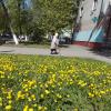 *** :: Валентина Береснева