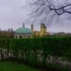 Уголок апреля... :: Lilly 