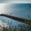 Дорога в море. :: Екатерина Рябинина