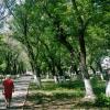 Прогулка в городе :: Андрей Хлопонин