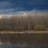 Aspen forest on the bank of the deep Bolshoy Puchkas River on a cloudy spring day | 2 :: Sergey Sonvar