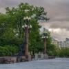 Репинский сквер. :: Николай 