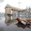 6 апреля в ЦПКиО :: Михаил Бибичков