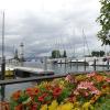 Bodensee :: Галина 