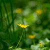 ___ :: Yuriy V