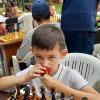 Не могли одинаковые фигуры поставить, так дайте хоть клубнику спокойно доесть...) :: Константин Штарк