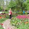 Май в городском саду :: Мария Васильева
