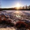 Kemijoki :: Тарас Дорошенко