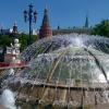 Жаркое лето :: Ольга Лебедева (Беловласова)
