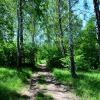 Июнь. :: Михаил Колосов 