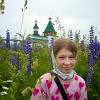 Лето, люпины, каникулы ... :: Владимир Хиль