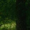 природа :: סּﮗRuslan HAIBIKE Sevastyanovסּﮗסּ