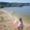 А они кусаются ? :: Сеня Белгородский