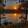 *** :: Алексей Мезенцев