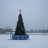Новогодняя ёлка на площади :: Александр Синдерёв