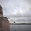 Сфинкс на Университетской набережной :: Andrey Lomakin