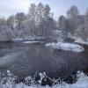 Незамерзающие речки на Алтае :: елена беликова