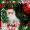 С НОВЫМ ГОДОМ, ДОРОГИЕ ДРУЗЬЯ!! :: Наталья Куликова