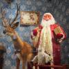 Дедушка Мороз с оленем и совой :: Дмитрий Никитин