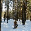 тяжело в снегу :: Владимир 