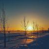 Морозный закат :: Сергей В