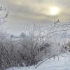 зимний день :: ИННА ПОРОХОВА