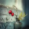 Мир натюрморта-10 :: irina Schwarzer 