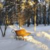 Скамейка в лучах зимнего солнца :: Любовь Сахарова