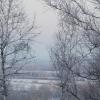 зимний туман :: Владимир Кириченко