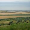 Бескрайние просторы полей... :: Надежда Куркина 