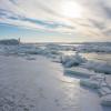 Льдины на море :: Оксана Новик 
