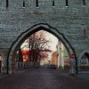 Tallinn.. :: Татьян@ Ивановна
